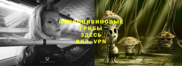 a pvp Белоозёрский