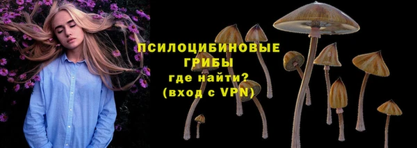 spice Беломорск