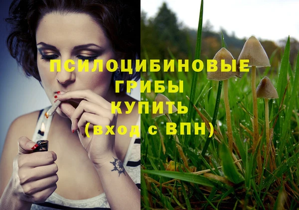 spice Беломорск