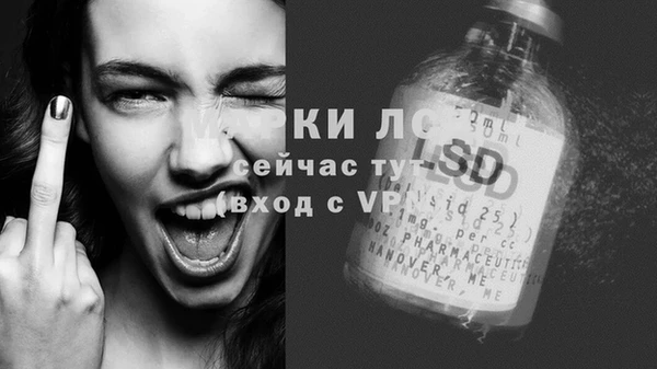 ПСИЛОЦИБИНОВЫЕ ГРИБЫ Белокуриха
