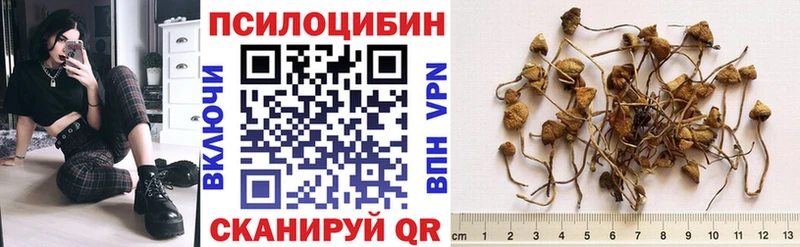Галлюциногенные грибы GOLDEN TEACHER  Купить где  Томск 